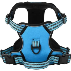 vidaXL Hondentuigje met riem en halsband verstelbaar L blauw