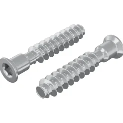 vidaXL Hoofdkapbout 2 st zilver M7 x 40 mm Staal