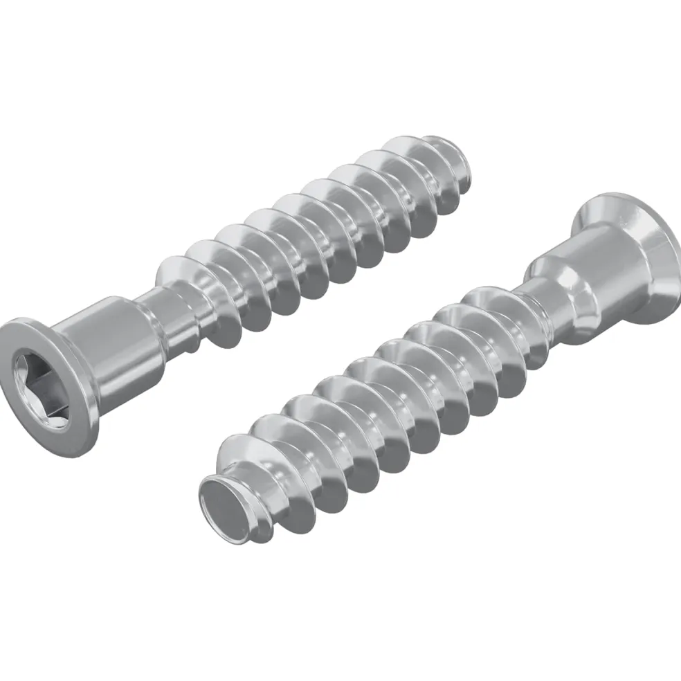 vidaXL Hoofdkapbout 2 st zilver M7 x 40 mm Staal