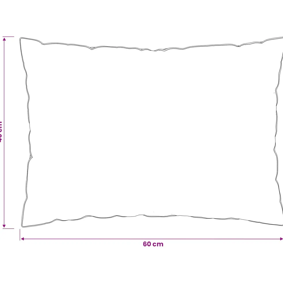 vidaXL Hoofdkussen FULDA 40 x 60 cm 100% Ganzendons en Ganzenveren Wit