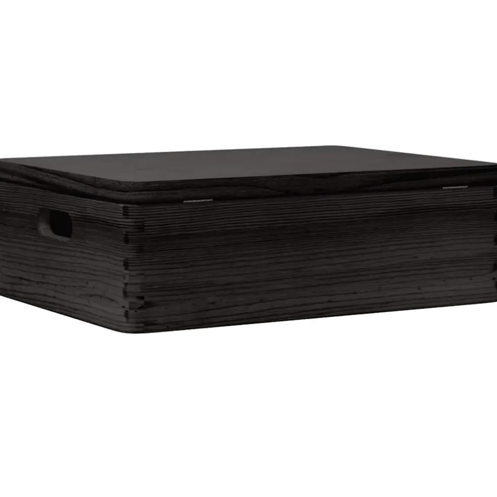 vidaXL Houten kist met deksel&handvatten 40x30x13cm grenenhout zwart