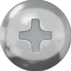 vidaXL Houten Schroef 2 st zilver 9,8 x 53 mm Staal