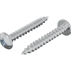 vidaXL Houten Schroef 2 st zilver M4 x 28 mm IJzer