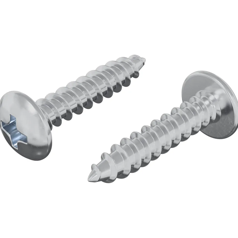 vidaXL Houten Schroeven 2 st zilver M4 x 20 mm Staal