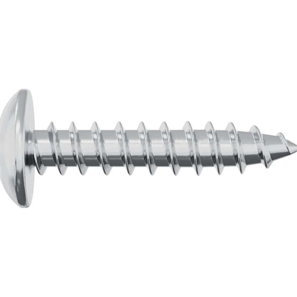 vidaXL Houten Schroeven 2 st zilver M4 x 20 mm Staal