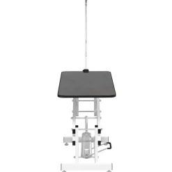 vidaXL Hydraulisch verstelbare trimtafel met aanlijnoptie