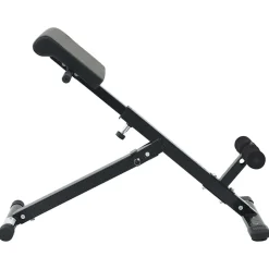 vidaXL Hyperextension Bank Zwart 100,5 x 70 x 78 cm Gepoedercoat staal