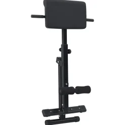 vidaXL Hyperextension Bank Zwart 100,5 x 70 x 78 cm Gepoedercoat staal
