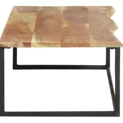 vidaXL Kapstok met schap 100x35x22 cm massief acaciahout
