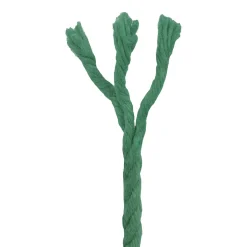 vidaXL Katoen Touw 2 st 2 mm 100 m Groen 100% Katoen