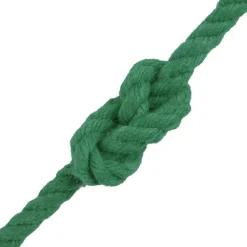 vidaXL Katoen Touw 2 st 2 mm 100 m Groen 100% Katoen