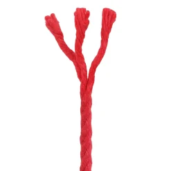 vidaXL Katoen Touw 2 st 2 mm 100 m Rood 100% Katoen