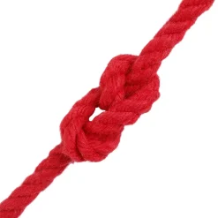 vidaXL Katoen Touw 2 st 2 mm 100 m Rood 100% Katoen