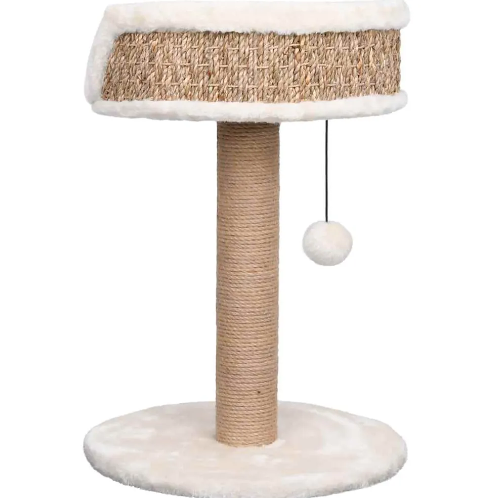 vidaXL Kattenboom met mandje 49 cm zeegras