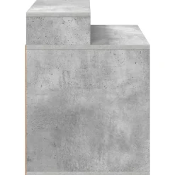 vidaXL Kattenhuis Beton 42,5 x 40 x 53,5 cm Bewerkt hout