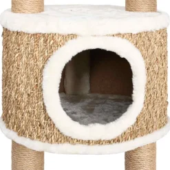 vidaXL Kattenmeubel met krabpalen 126 cm zeegras