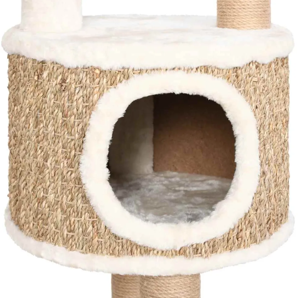 vidaXL Kattenmeubel met luxe kussen en krabpalen 148 cm zeegras