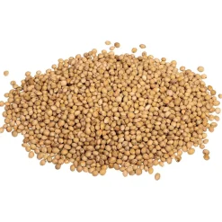 vidaXL Kersenpitten voor warmtekussen 20 kg