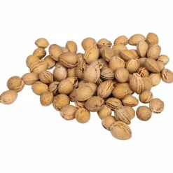 vidaXL Kersenpitten voor warmtekussen 5 kg