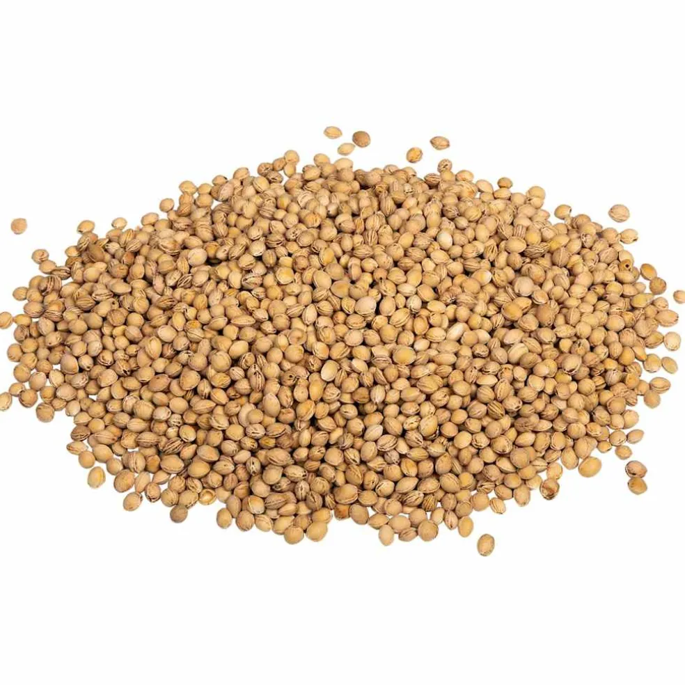 vidaXL Kersenpitten voor warmtekussen 5 kg