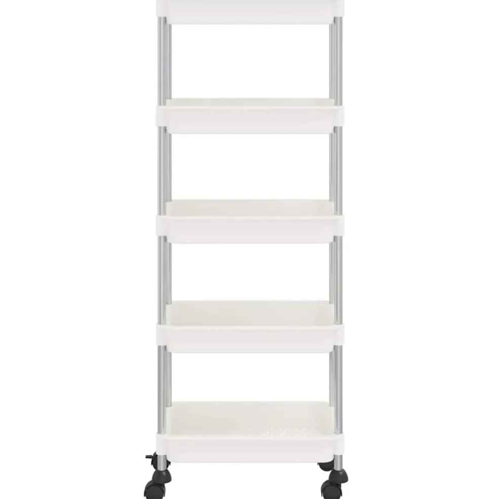 vidaXL Keukentrolley 5-laags 42x29x128 cm ijzer en ABS wit