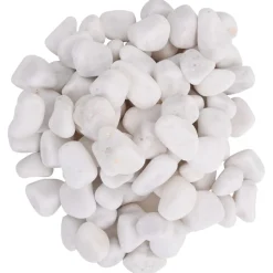 vidaXL Kiezelstenen gepolijst 2-5 cm 25 kg wit