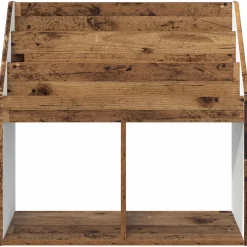 vidaXL Kinderen Boekenkast Oudhout 72,5 x 29,5 x 69 cm Bewerkt hout