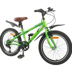vidaXL Kinderfiets 20 Inch 6-Snelheid voor 6-11 jaar oud Groen
