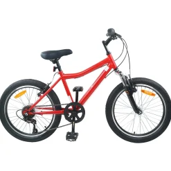 vidaXL Kinderfiets 20 Inch 6-Snelheid voor 6-11 jaar oud Rood
