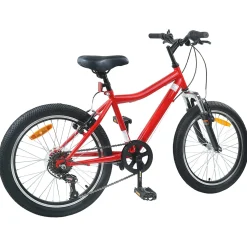 vidaXL Kinderfiets 20 Inch 6-Snelheid voor 6-11 jaar oud Rood