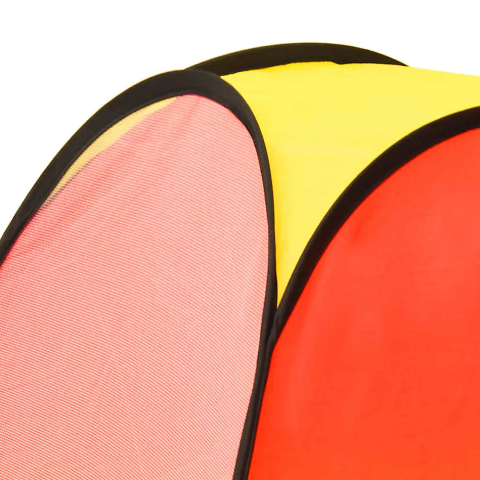 vidaXL Kinderspeeltent 255x80x100 cm meerkleurig