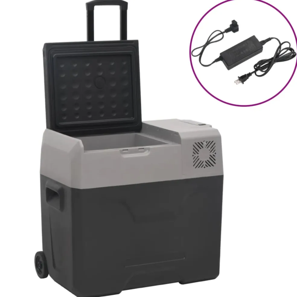 vidaXL Koelbox met wielen en adapter 40 L polypropeen zwart en grijs