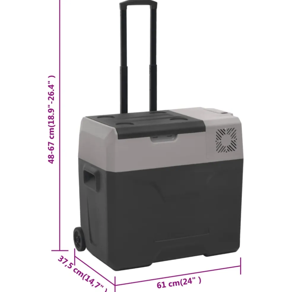 vidaXL Koelbox met wielen en adapter 40 L polypropeen zwart en grijs