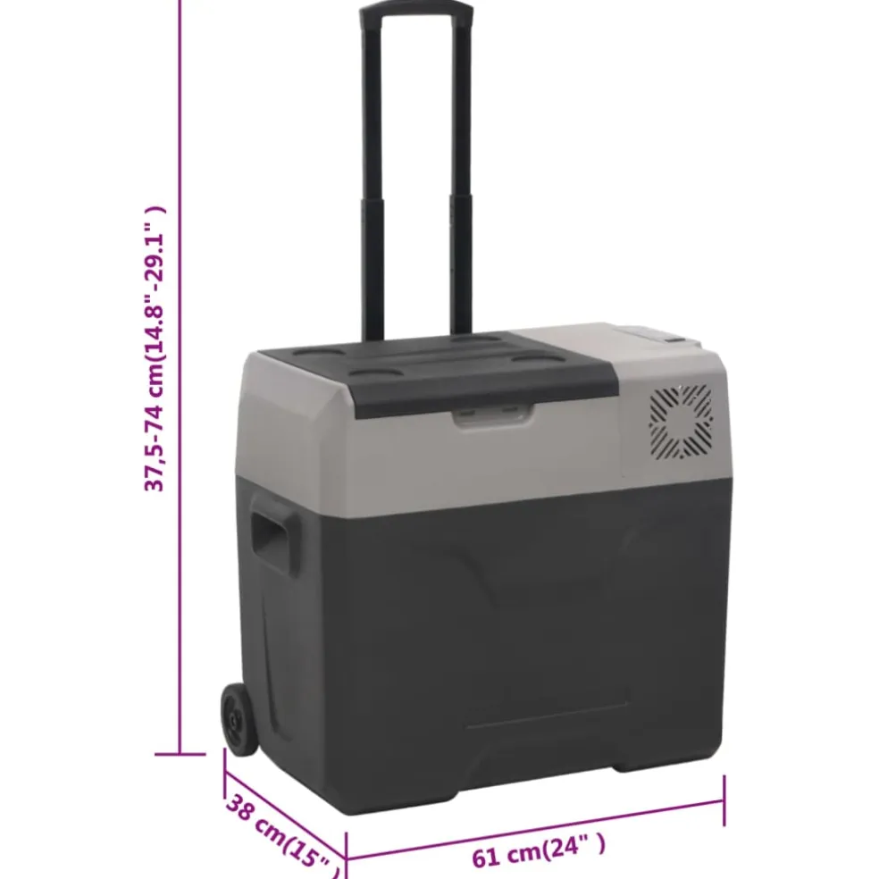 vidaXL Koelbox met wielen en adapter 30 L polypropeen zwart en grijs