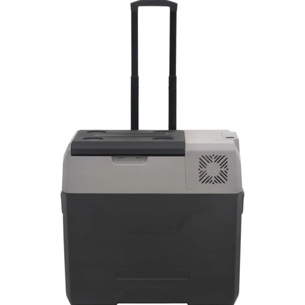 vidaXL Koelbox met wielen en adapter 30 L polypropeen zwart en grijs