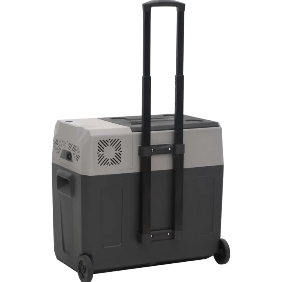 vidaXL Koelbox met wielen en adapter 30 L polypropeen zwart en grijs