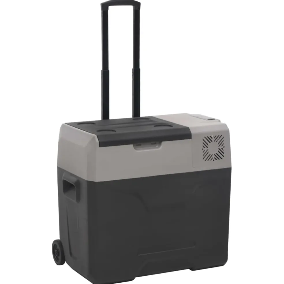 vidaXL Koelbox met wielen en adapter 30 L polypropeen zwart en grijs