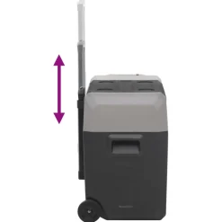 vidaXL Koelbox met wielen en handvat 50 L polypropeen zwart en grijs