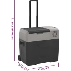 vidaXL Koelbox met wielen en handvat 50 L polypropeen zwart en grijs