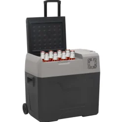 vidaXL Koelbox met wielen en handvat 50 L polypropeen zwart en grijs