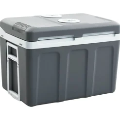 vidaXL Koelbox thermo-elektrisch draagbaar 12 V 230 V E 40 L