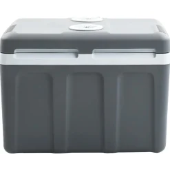 vidaXL Koelbox thermo-elektrisch draagbaar 12 V 230 V E 40 L