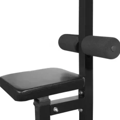 vidaXL Krachttoren met gewichtsschijven 40 kg