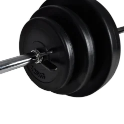 vidaXL Krachttoren voor aan de wand met halterset 30,5 kg
