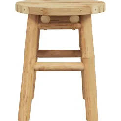 vidaXL Kruk Bamboe Natuurlijk 30 x 30 x 36 cm Bamboe