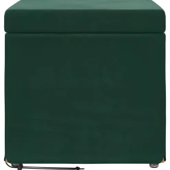 vidaXL Kruk Donkergroen 41 x 41 x 40 cm Velvet en Gefabriceerd Hout