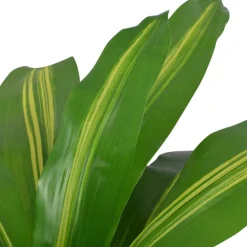 vidaXL Kunst dracena plant met pot 90 cm groen