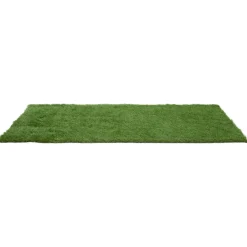 vidaXL Kunstgras 100 x 200 cm Green PP & PE