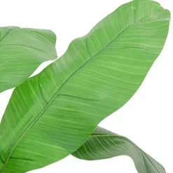 vidaXL Kunstplant bananenboom 9 bladeren 120 cm groen