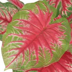 vidaXL Kunstplant caladium met pot 85 cm groen en rood